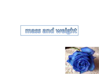   mass and weight 