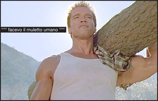 °°° facevo il muletto umano °°°
 