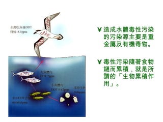 造成水體毒性污染的污染源主要是重金屬及有機毒物。 毒性污染隨著食物鏈而累積，就是所謂的「生物累積作用」。 