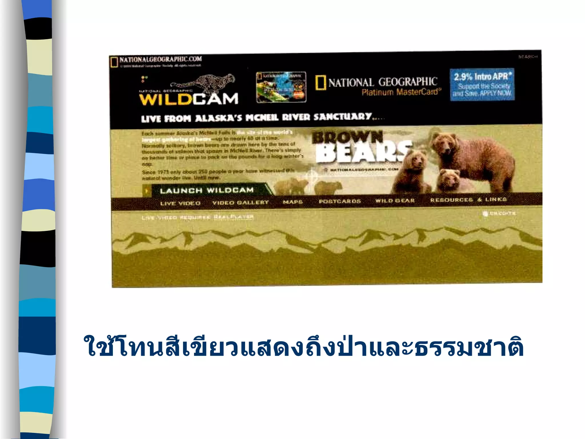 ใช้โทนสีเขียวแสดงถึงป่าและธรรมชาติ 