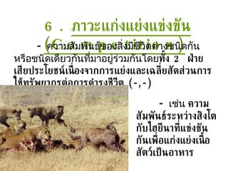 6.  ภาวะแก่งแย่งแข่งขัน  ( Competition ) -  ความสัมพันธ์ของสิ่งมีชีวิตต่างชนิดกันหรือชนิดเดียวกันที่มาอยู่ร่วมกันโดย ทั้ง  2  ฝ่ายเสียประโยชน์เนื่องจากการแย่งและเฉลี่ยสัดส่วนการใช้ทรัพยากรต่อการดำรงชีวีต  (- ,- ) -  เช่น  ความสัมพันธ์ระหว่างสิงโตกับไฮยีนาที่แข่งขันกันเพื่อแก่งแย่งเนื้อสัตว์เป็นอาหาร 