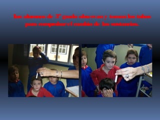 Los alumnos de 3º grado observany tomanlos tubos
para comprobarel cambio de las sustancias.
 