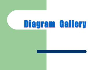 การสร้าง Diagram  Gallery