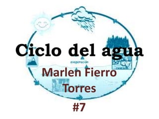 Ciclo del agua
Marlen Fierro
Torres
#7
 