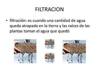 FILTRACION
• filtración: es cuando una cantidad de agua
queda atrapada en la tierra y las raíces de las
plantas toman el agua que quedó