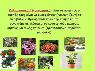 Καλλωπιστικά ή διακοσμητικά :  είναι τα φυτά που ο σκοπός τους είναι να ομορφαίνουν (καλλωπίζουν) το περιβάλλον. Χρειάζονται πολύ περιποίηση και τα συναντάμε σε γλάστρες, σε εσωτερικούς χώρους, κήπους και αυλές σπιτιών. (τριανταφυλλιά, γαρδένια, γαριφαλιά)  