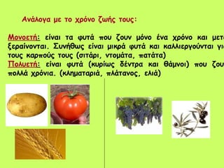      Ανάλογα με το χρόνο ζωής τους:   Μονοετή :  είναι τα φυτά που ζουν μόνο ένα χρόνο και μετά ξεραίνονται. Συνήθως είναι μικρά φυτά και καλλιεργούνται για τους καρπούς τους (σιτάρι, ντομάτα, πατάτα) Πολυετή :  είναι φυτά (κυρίως δέντρα και θάμνοι) που ζουν πολλά χρόνια. (κληματαριά, πλάτανος, ελιά)   