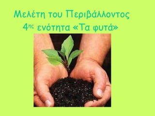 Μελέτη του Περιβάλλοντος 4 ης  ενότητα «Τα φυτά»   