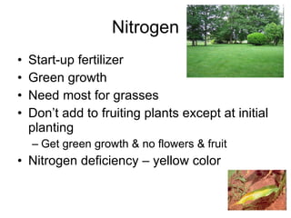 Nitrogen Start-up fertilizer Green growth Need most for grasses Don’t add to fruiting plants except at initial planting Get green growth & no flowers & fruit Nitrogen deficiency – yellow color 
