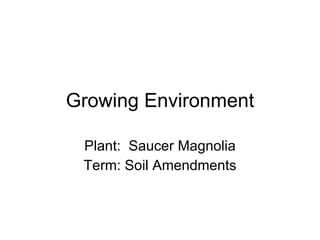Growing Environment Plant:  Saucer Magnolia Term: Soil Amendments 