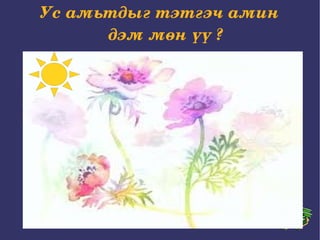 Ус амьтдыг тэтгэч амин дэм мөн үү ? 