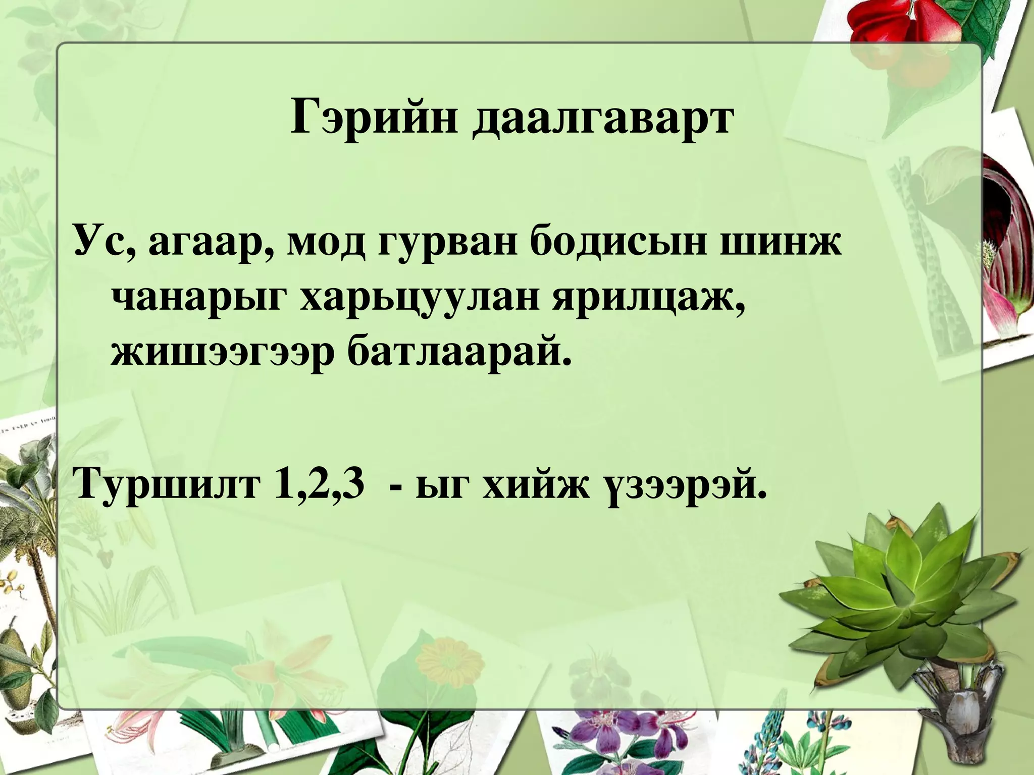 Чиний сонирхолд Хамгийн хатуу нь юу вэ ? 
