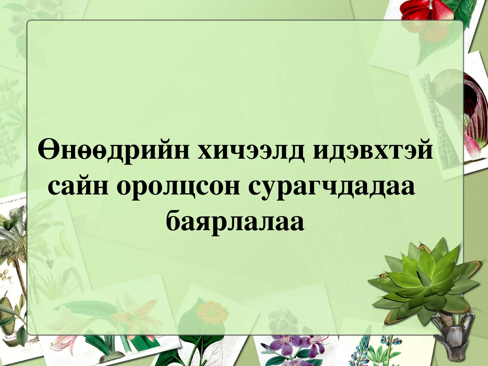 Дэлхий дээрх хамгийн чулуу шил бол  алмаз  юм.  Алмаз  нь үнэт чулуу бөгөөд хүмүүс гоёл чимэглэлийн нэг болгон хэрэглэдэг. Мөн шил зүсдэг багажийг  алмазаар  хийдэг. 