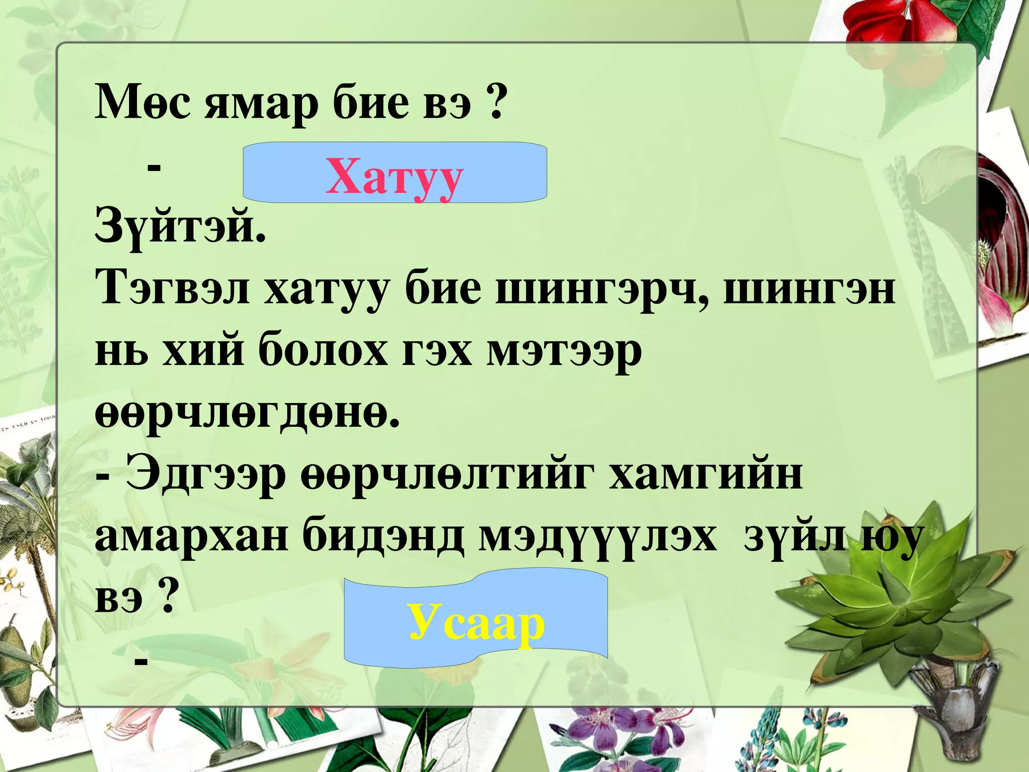 Хүүхдүүд ээ !  Та нар ийм төлөвт байгаа зүйлийг  мэдэх үү ? 