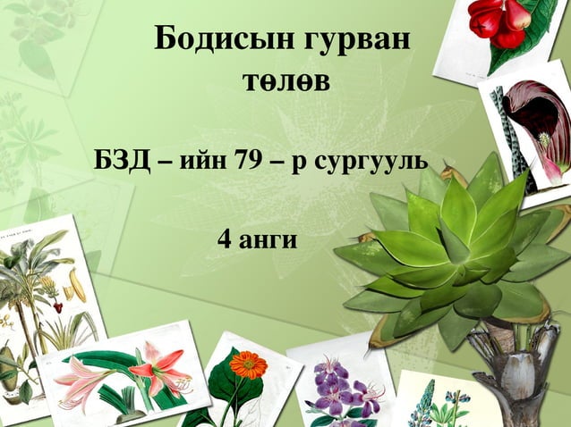 бодисын 3 төлөв | PPT