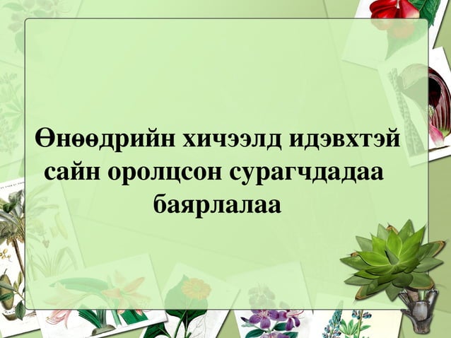 бодисын 3 төлөв | PPT
