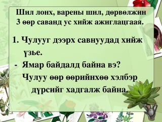 бодисын 3 төлөв | PPT