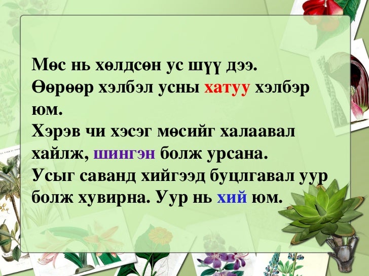 бодисын 3 төлөв