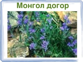 Монгол догор
Click to edit Master text styles
Second level
●
Third level
●
Fourth level
●
Fifth level
