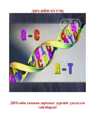 ДНХ-ИЙН БҮТЭЦ




ДНХ-ийн хамжаа зарчмыг зургийг үндэслэн
             тайлбарла!
 