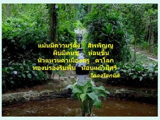 แม้นมีความรู้ดั่ง   สัพพัญญู ผิบ่มีคนชู  ห่อนขึ้น หัวแหวนค่าเมืองตรู   ตาโลก ทองบ่รองรับพื้น   ห่อนแก้วมีศรี  โคลงโลกนิติ   