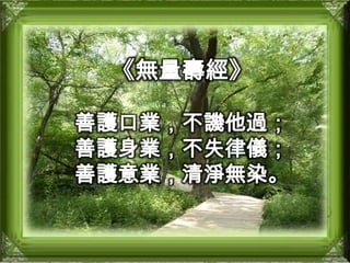 《無量壽經》善護口業，不譏他過；善護身業，不失律儀；善護意業，清淨無染。