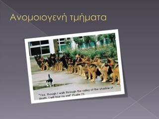 AFL7020 (Θεωρία): Αγγλικά για επιχειρήσεις