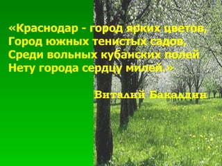 «Краснодар - город ярких цветов, Город южных тенистых садов, Среди вольных кубанских полей Нету города сердцу милей.»   Виталий Бакалдин 