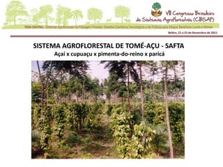 SISTEMA AGROFLORESTAL DE TOMÉ-AÇU - SAFTA
     Açaí x cupuaçu x pimenta-do-reino x paricá
 