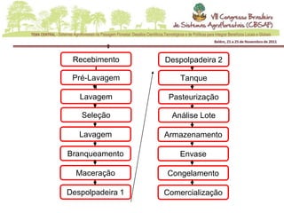 Recebimento      Despolpadeira 2

 Pré-Lavagem          Tanque

   Lavagem         Pasteurização

   Seleção          Análise Lote

   Lavagem        Armazenamento

Branqueamento         Envase

  Maceração       Congelamento

Despolpadeira 1   Comercialização
 