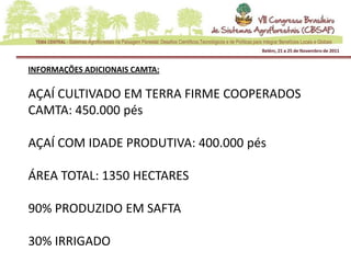 INFORMAÇÕES ADICIONAIS CAMTA:

AÇAÍ CULTIVADO EM TERRA FIRME COOPERADOS
CAMTA: 450.000 pés

AÇAÍ COM IDADE PRODUTIVA: 400.000 pés

ÁREA TOTAL: 1350 HECTARES

90% PRODUZIDO EM SAFTA

30% IRRIGADO
 