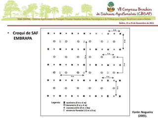 • Croqui de SAF
  EMBRAPA




                  Fonte: Nogueira
                      (2005).
 