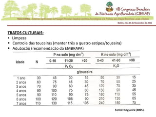 TRATOS CULTURAIS:
 Limpeza
 Controle das touceiras (manter três a quatro estipes/touceira)
 Adubação (recomendação da EMBRAPA)




                                                            Fonte: Nogueira (2005).
 