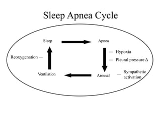 Sleep Apnea Cycle
Ventilation
Apnea
Arousal
Sleep
Hypoxia
Pleural pressure Δ
Sympathetic
activation
Reoxygenation
 