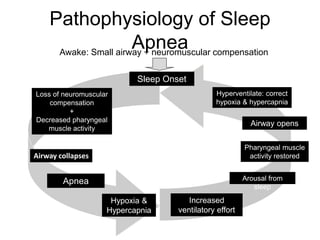 Pathophysiology of Sleep
ApneaAwake: Small airway + neuromuscular compensation
Loss of neuromuscular
compensation
+
Decreased pharyngeal
muscle activity
Sleep Onset
Hyperventilate: correct
hypoxia & hypercapnia
Airway opens
Airway collapses
Pharyngeal muscle
activity restored
Apnea Arousal from
sleep
Hypoxia &
Hypercapnia
Increased
ventilatory effort
 