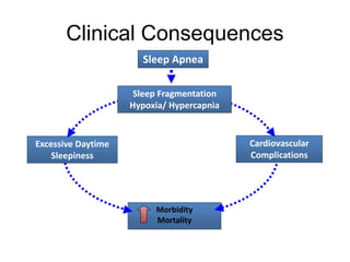Clinical Consequences
Cardiovascular
Complications
Morbidity
Mortality
Sleep Fragmentation
Hypoxia/ Hypercapnia
Excessive Daytime
Sleepiness
Sleep Apnea
 