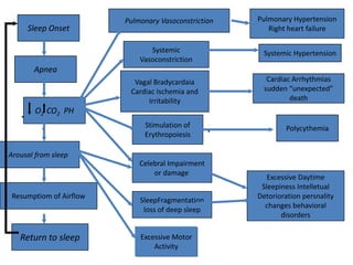 Sleep Onset
Apnea
O2 CO2 PH
Arousal from sleep
Resumptiom of Airflow
Return to sleep
Vagal Bradycardaia
Cardiac Ischemia and
Irritability
Pulmonary Vasoconstriction Pulmonary Hypertension
Right heart failure
Stimulation of
Erythropoiesis
Excessive Motor
Activity
SleepFragmentation
loss of deep sleep
Celebral Impairment
or damage
Systemic
Vasoconstriction
Systemic Hypertension
Cardiac Arrhythmias
sudden “unexpected”
death
Polycythemia
Excessive Daytime
Sleepiness Intelletual
Detorioration persnality
changes behavioral
disorders
 