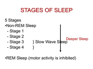 STAGES OF SLEEP
5 Stages
•Non-REM Sleep
- Stage 1
- Stage 2
- Stage 3 } Slow Wave Sleep
- Stage 4 }
•REM Sleep (motor activity is inhibited)
Deeper Sleep
 