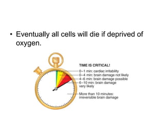 • Eventually all cells will die if deprived of
oxygen.
 