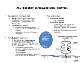 ACE (dipeptidyl-carboxypeptidase) subtypes

•   Two distinct forms of ACE                                •       Two active sites
     – Somatic form on the endothelial                                  – N-terminal domain
       cells(lung, smooth muscle cells,                                         •   Ang 1-7 cleavage
       monocytes, T lymphocytes, and                                    – C-terminal domain
       adipocytes)                                                              •   Responsible for Ang I conversion
     – Germinal form (testis)                                                   •   Selective C domain inhibition is
          •   glycosylphosphatidylinositol (GPI)                                    sufficient to prevent Ang I–induced
              hydrolase activity not inhibited by ACE                               vasoconstriction
              inhibitors                                                        •   Both sites required for degradation of
          •   capacitation, formation of the sperm                                  bradykinin
              membrane,                                  located on the
                                                         1. endothelium
                                                         of all blood vessels

•   Two types of Existence                               2. In the
                                                         parenchyma of the

     – At the cell surface (ectoenzymes)                 heart, kidneys,
                                                         brain, and adrenal
       hydrolyzing circulating peptides                  glands.
                                                         2. Also in non-
     – Soluble form (plasma ACE) after action            endothelial cells
                                                         such as
       of ACE secretase                                  macrophage
          •   lungs have traditionally been
              considered to be an integral part of the
              circulating RAS
          •   10% of total ACE
          •   Risk factor for coronary stent restenosis,
              CAD, MI and post MI LV dilation            Anchored to the plasma
                                                        membrane
 