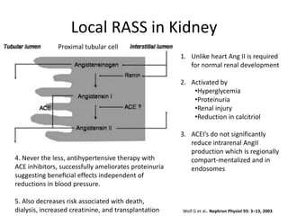 Local RASS in Kidney
               Proximal tubular cell
                                                       1. Unlike heart Ang II is required
                                                          for normal renal development

                                                       2. Activated by
                                                           •Hyperglycemia
                                                           •Proteinuria
                                                           •Renal injury
                                                           •Reduction in calcitriol

                                                       3. ACEI’s do not significantly
                                                          reduce intrarenal AngII
                                                          production which is regionally
4. Never the less, antihypertensive therapy with          compart-mentalized and in
ACE inhibitors, successfully ameliorates proteinuria      endosomes
suggesting beneﬁcial effects independent of
reductions in blood pressure.

5. Also decreases risk associated with death,
dialysis, increased creatinine, and transplantation    Wolf G et al. Nephron Physiol 93: 3–13, 2003
 