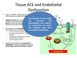 Tissue ACE and Endothelial
                           Dysfunction
•   Ang II ↑ NADPH+, producing superoxide anion
    and hydrogen peroxide that inactivate NO
                                         The reduction of tissue AngII
•   Oxidative stress also activates the transcription
    of factor NF-κ B that induces the expression of increased
                                        and                     NO
                                        bioavailability may underlie
    genes controlling cytokine formation and
    leukocyte adhesion to the vessel wall
                                      the mechanisms by which
•   ACE degrades and inactivates bradykinin, inhibitors exert their
                                      ACE hence
    vasoconstriction and inflammation vasculoprotective effects.
     –   ↓ NO and other endothelial derived vasodilators
     –   ↑ vascular smooth muscle cell growth and
         migration
     –   ↑ expression of VCAM-1 & monocyte
         chemoattractant protein-1
     –   ↓ plasminogen activator

•   AngII also stimulates the production of
    endothelin-1 (potent vasoconstrictor) and
    plasminogen activator inhibitor-1 (PAI-1)
 