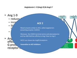 Angiotensin 1 -9 (Ang1-9) & Ang1-7



• Ang 1-9
   – reduces AngII
   – increases Ang1-7 levels ACE 2
   – Stimulates bradykinin
     release •Novel enzyme similar to ACE, called angiotensin-
              converting enzyme 2 (ACE2)
   – Directly binds the AT 2R
                  •Removes the COOH-terminal amino acid phenylalanine
                  and has 400-fold less affinity to Ang I than to Ang II
• Ang1-7 blocks the des-Arg(9)-bradykinin
             •ACE2 can cleave
  effects of AngII via the
  G protein-coupledACE inhibitors
             •Insensitive to

  receptor Mas
 