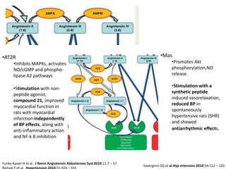 •AT2R                                                                                 •Mas
       •Inhibits MAPKs, activates                                                            •Promotes Akt
       NO/cGMP and phospho-                                                                  phosphorylation,NO
       lipase A2 pathways                                                                    release.

                                                                                             •Stimulation with a
       •Stimulation with non-
                                                                                             synthetic peptide
       peptide agonist,
                                                                                             induced vasorelaxation,
       compound 21, improved
                                                                                             reduced BP in
       myocardial function in
                                                                                             spontaneously
       rats with myocardial
                                                                                             hypertensive rats (SHR)
       infarction independently
                                                                                             and showed
       of BP effects, along with
       anti-inﬂammatory action                                                               antiarrhythmic effects.
       and NF-k B inhibition




Funke-Kaiser H et al. J Renin Angiotensin Aldosterone Syst 2010;11:7 – 17
                                                                            Savergnini SQ et al.Hyp ertension 2010;56:112 – 120
 