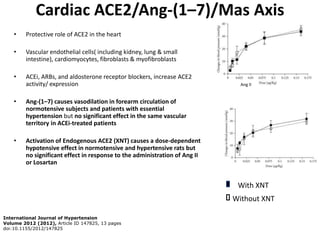 Cardiac ACE2/Ang-(1–7)/Mas Axis
    •    Protective role of ACE2 in the heart

    •    Vascular endothelial cells( including kidney, lung & small
         intestine), cardiomyocytes, fibroblasts & myofibroblasts

    •    ACEi, ARBs, and aldosterone receptor blockers, increase ACE2
         activity/ expression                                                  Ang II


    •    Ang-(1–7) causes vasodilation in forearm circulation of
         normotensive subjects and patients with essential
         hypertension but no significant effect in the same vascular
         territory in ACEi-treated patients

    •    Activation of Endogenous ACE2 (XNT) causes a dose-dependent
         hypotensive effect in normotensive and hypertensive rats but
         no significant effect in response to the administration of Ang II
         or Losartan


                                                                              With XNT
                                                                             Without XNT

International Journal of Hypertension
Volume 2012 (2012), Article ID 147825, 13 pages
doi:10.1155/2012/147825
 