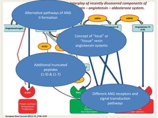 Interplay of recently discovered components of
                                               the renin – angiotensin – aldosterone system.
                    Alternative pathways of ANG
                             II formation



                                                    Concept of “local” or
                                                       “tissue” renin
                                                    angiotensin systems



                             Additional truncated
                                   peptides
                                (1-9) & (1-7)



                                                               Different ANG receptors and
                                                                    signal transduction
                                                                         pathways


European Heart Journal (2011) 32, 2739–2747
 