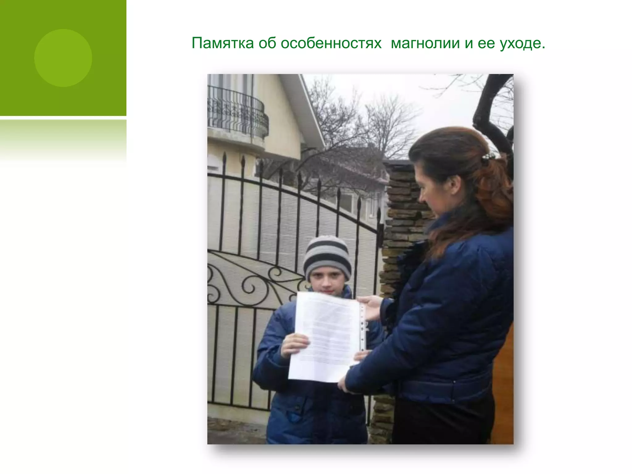 Памятка об особенностях магнолии и ее уходе.
 