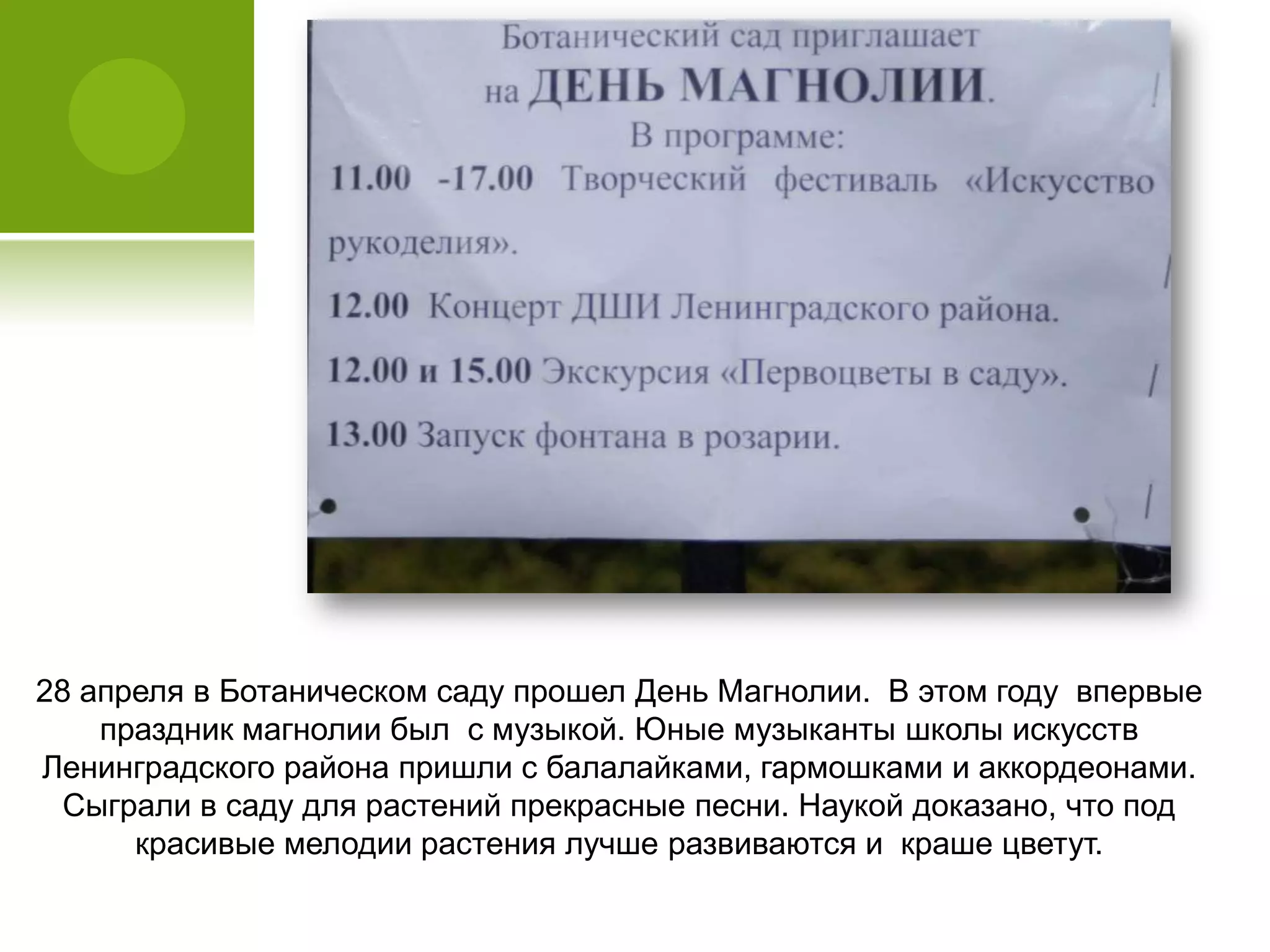 28 апреля в Ботаническом саду прошел День Магнолии. В этом году впервые
праздник магнолии был с музыкой. Юные музыканты школы искусств
Ленинградского района пришли с балалайками, гармошками и аккордеонами.
Сыграли в саду для растений прекрасные песни. Наукой доказано, что под
красивые мелодии растения лучше развиваются и краше цветут.
 
