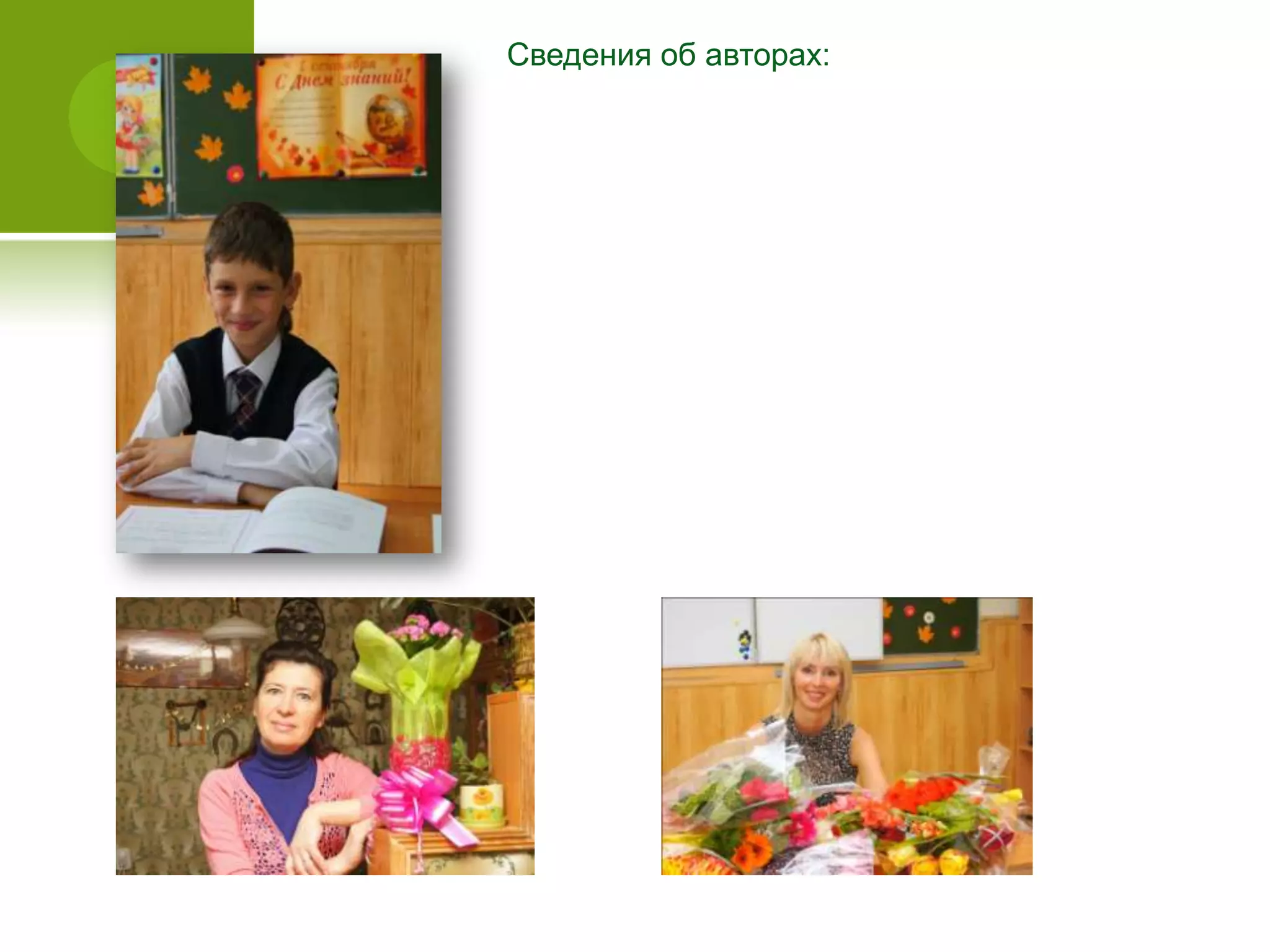 Сведения об авторах:
 