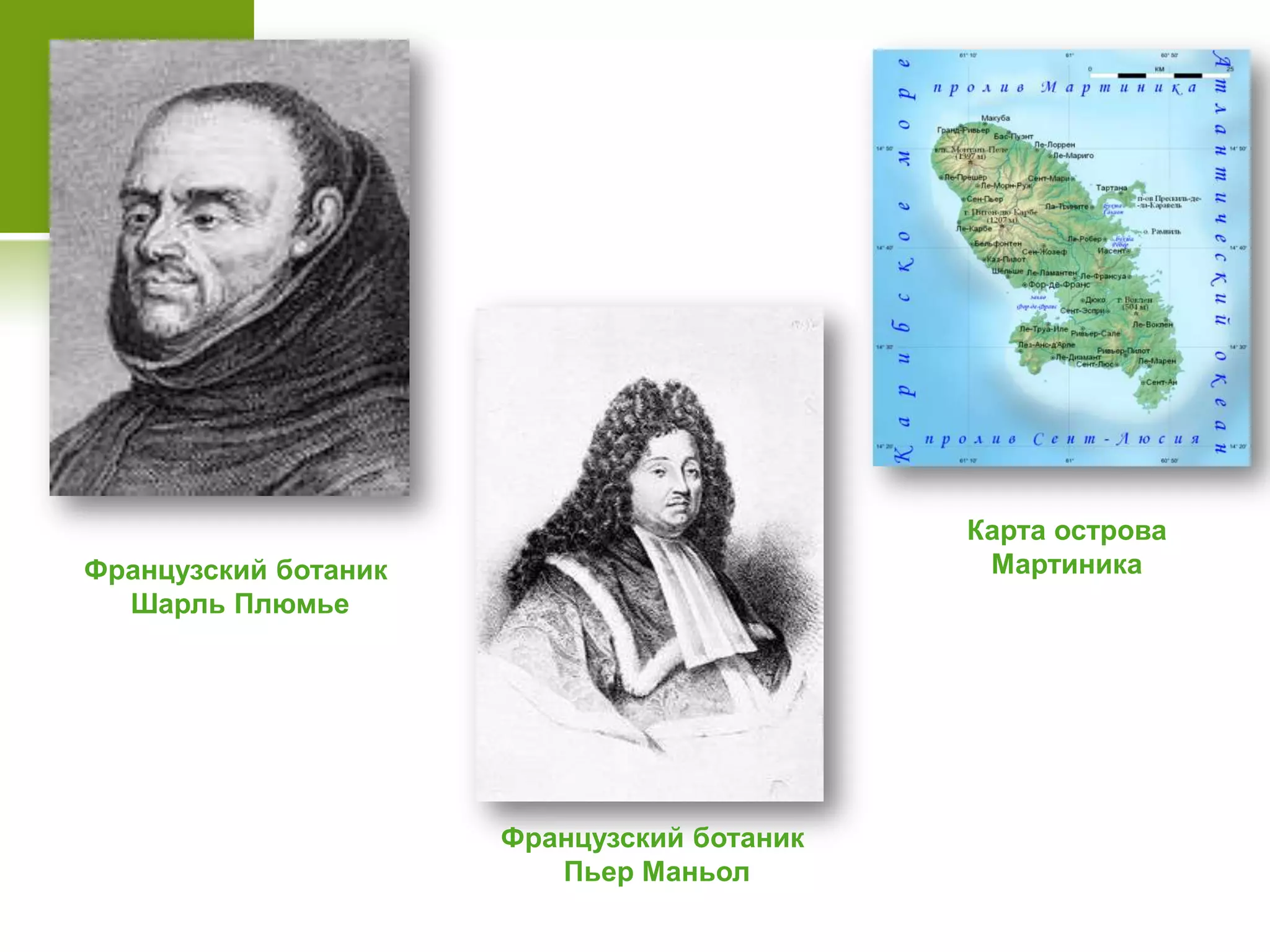 Французский ботаник
Пьер Маньол
Французский ботаник
Шарль Плюмье
Карта острова
Мартиника
 